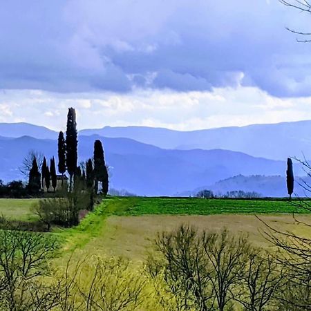 Tuscan Hills Near Florence - Stone House Vicchio Exterior foto